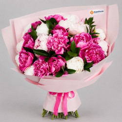 Букет из 25 белых и розовых пионов